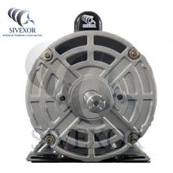 MOTOR WEG DE .25 HP BIFASICO
